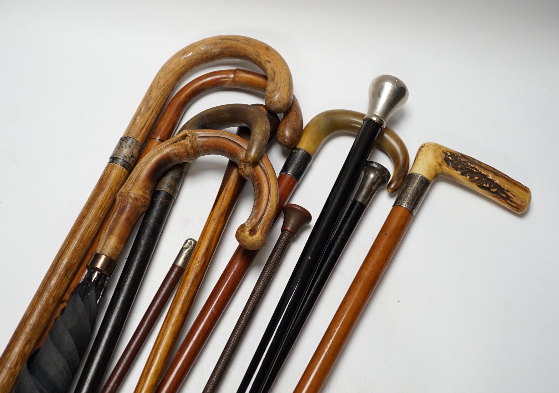 Eleven walking sticks, canes and riding crops, three with horn handles, longest 89cm
